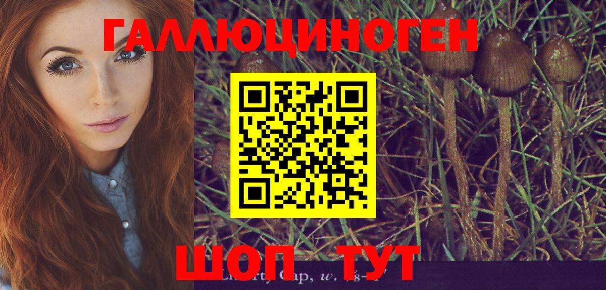 Псилоцибиновые грибы прущие грибы Кудрово